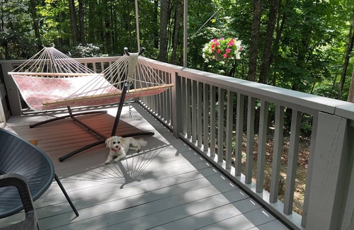 Mount Airy Casa | 🏚️ Mayberry’s Serenity Villa.. IfIT Bike, Hammock, Massage Table, Firepit