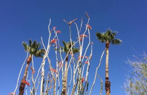 Twentynine Palms Casa | Mayfair House - 4 Minutes to National Park!
