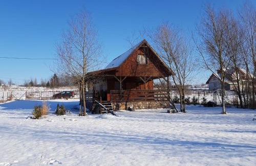 Sikory Juskie Casa | Mazurska Niezapominajka