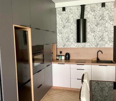 Gizycko Apartamento | MazuryHoliday Apartamenty Kisajno nad jeziorem
