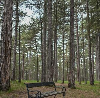 Kremna Apartamento | MB APARTMAN TARA