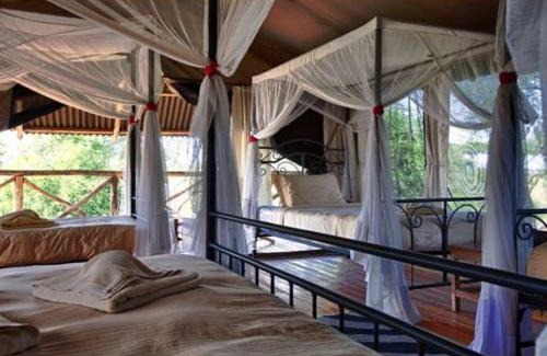 Tarangire National Park Cabina | Mbali Mbali Tarangire River Camp