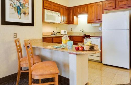 McAllen Hotel | McAllen Plaza Hotel and Suites
