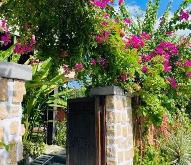 Cam Ha Villa | Me Villa Hoi An