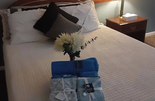 Adrian Cama Y Desayuno | Meadowbrook in Quiet, Peaceful Setting in Adrian, private room