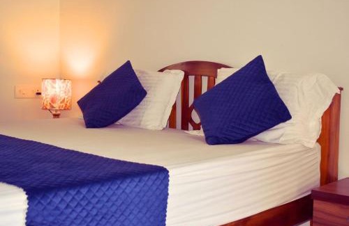 Mararikulam Casa | MeadowView Cottage Marari