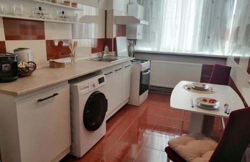 Alba Iulia Apartamento | Medeea Studio