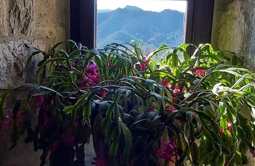 Llaes Otro | Castillo medieval del s.X - Apartamento La Torre