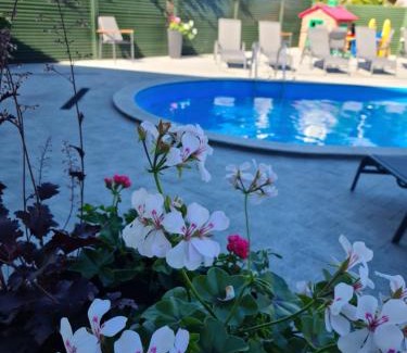Palanga Casa | Medziotoju kiemelis