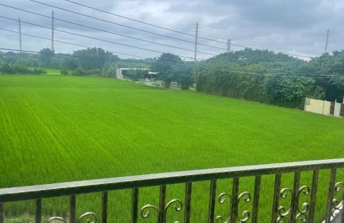 Xinwu District Casa | Meet 126