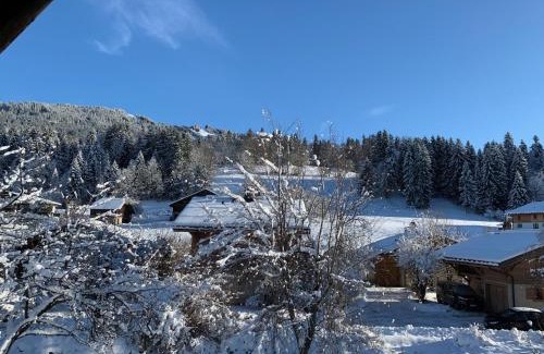 Megeve Chalet De Esquí | Megève - Chalet Yack - Premium jusqu'à 15 pers