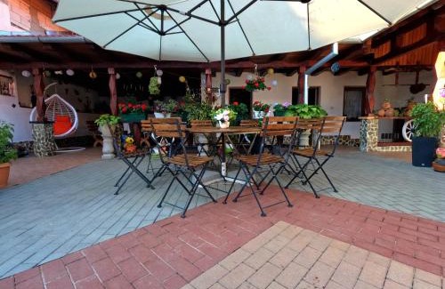 Mehadica Casa | Mehadica House
