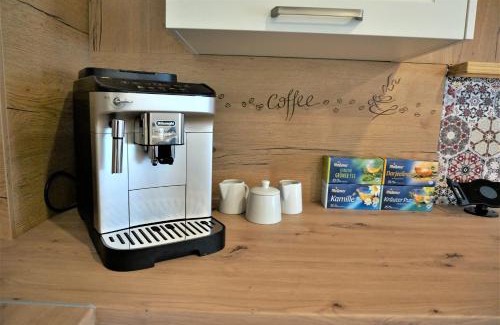 Frankenthal Apartamento | Mein Apartment Flowers mit Kamin, bis 10 Personen