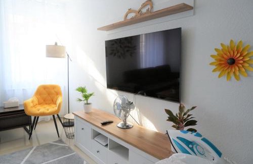 Frankenthal Apartamento | Mein Apartment Flowers mit Kamin, bis 10 Personen