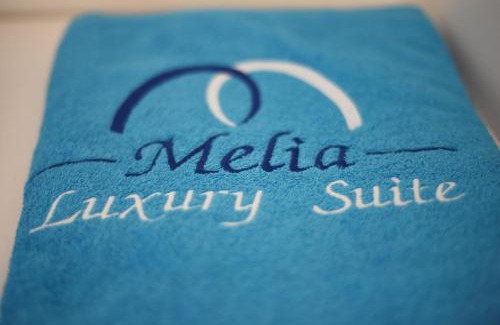 Nea Iraklitsa Casa | Melia Luxury Suite with pool