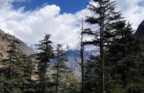 Kasol Casa | Memoir Homestay