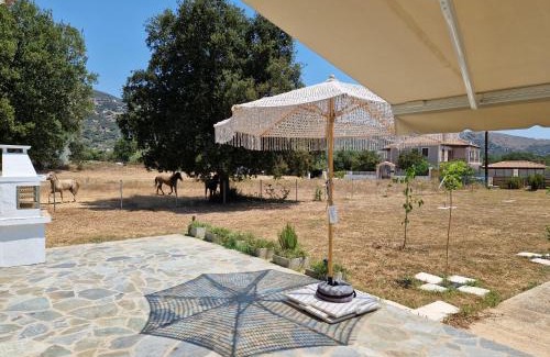 Kolaitis Casa | MemRo Village House