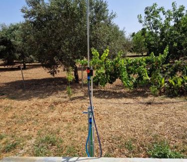 Kolaitis Casa | MemRo Village House