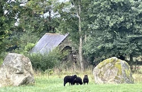 Plouec-du-Trieux Apartamento | Menhirs et Moutons Ouessant