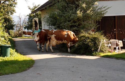 Spittal an der Drau Casa | Mentebauer Traudi's Ferienhof