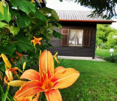 Hrastnik Chalet De Esquí | MERIKOTKA - a cozy wooden cottage, sLOVEnia