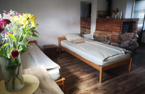 Alytus county Cama Y Desayuno | Merkinės viensodis