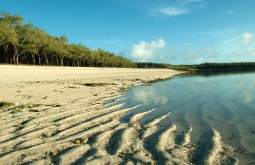 Coromandel Casa | Merlin Guest House