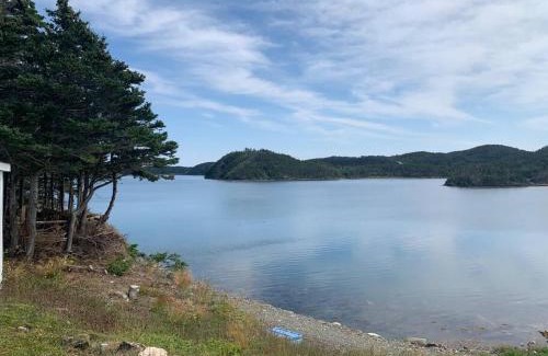 Newfoundland Casa | Merritt's Harbour Memories