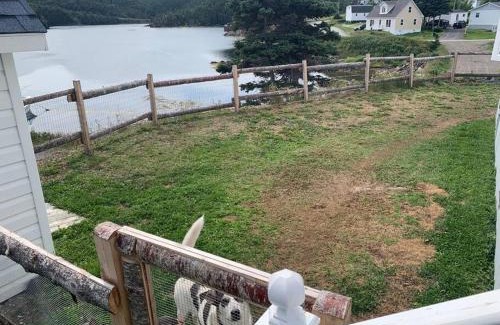 Newfoundland Casa | Merritt's Harbour Memories