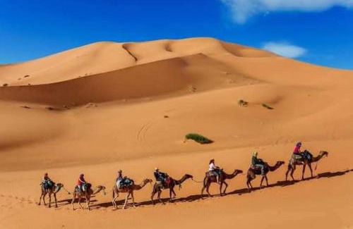 Merzouga Cama Y Desayuno | Merzouga Hous