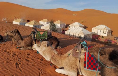 Merzouga Otro | Merzouga Wildlife Desert Camp
