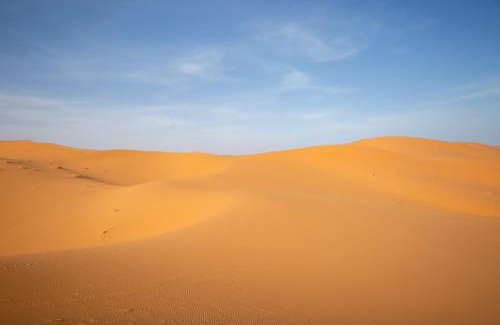 Merzouga Otro | Merzouga Wildlife Desert Camp
