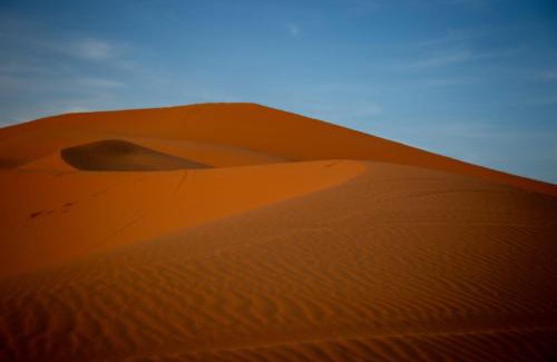 Merzouga Otro | Merzouga Wildlife Desert Camp