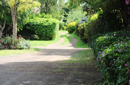 Arusha Region Hotel | Meserani Oasis Lodge & Campsite