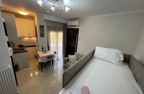 Nea Skioni Casa | Metaxenia's apartment 102