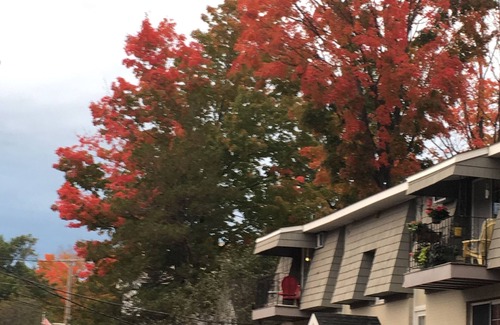 Westborough Condominio | Un condominio de Treetop Nest