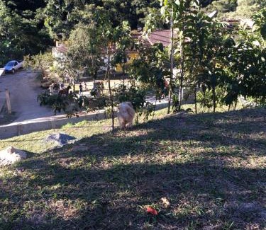 Teresopolis Casa | Meu cantinho na serra