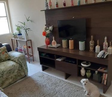 Boqueirao Apartamento | meu pequeno mundo