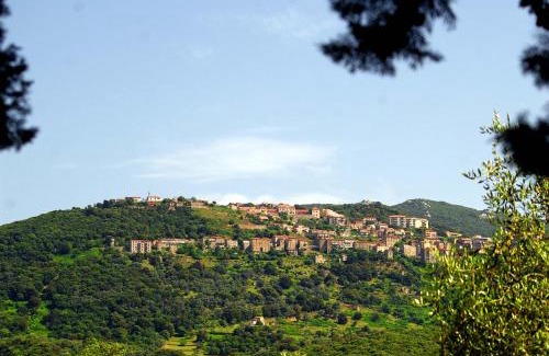 Sartene Apartamento | Meublés de Tourisme Casa Erbaggio