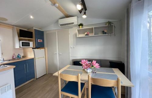 La Boissiere-de-Montaigu Chalet De Esquí | MH-MAUFAY - Mobil'home au Coeur de la Vendée
