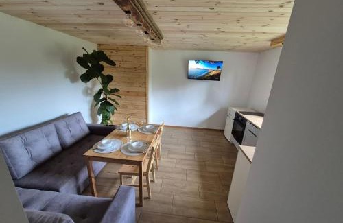 Goldap Apartamento | Miętowy domek