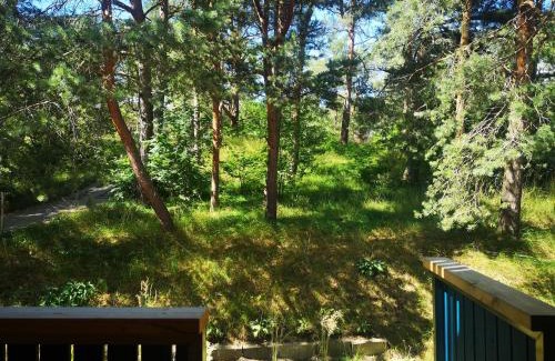 Nida Apartamento | Miško studija