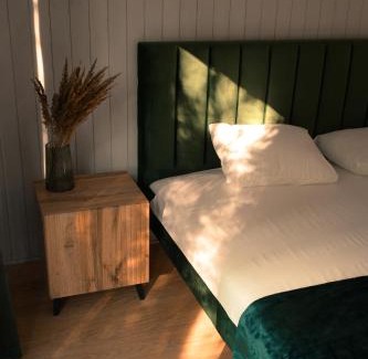 Alytus county Casa | Miško terapija