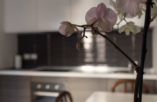 Zona Risorgimento Apartamento | Mi-melz12c1m - Melzo 12 - 1CM SUL Art D co