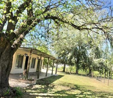 Junín Apartamento | Mi paraíso verde