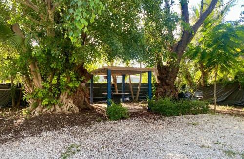 Little Haiti Casa | Miami Bright townhouse 3 bedroom free Parkig Garden