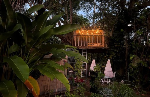 El Portal Casa | Miami Pool Cottage in El Portal