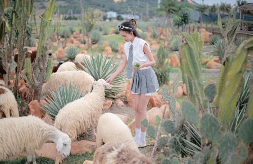 Ho Tram Otro | Mianfarm Bàu trắng glamping