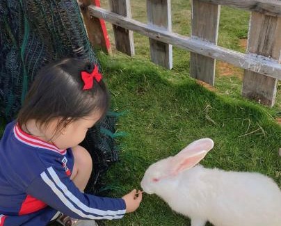 Ho Tram Otro | Mianfarm Bàu trắng glamping