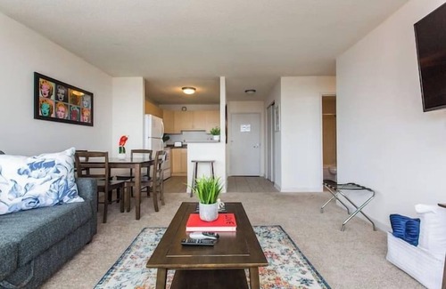 South Loop Condominio | MICH AVE #23 2bd/2ba Downtown, Museums w/ Views